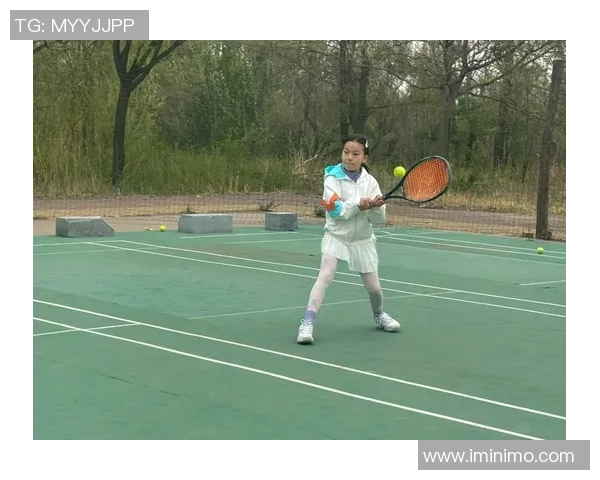 南京网球队的崛起与发展探秘：网球运动在城市中的力量与影响