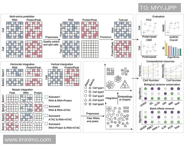 南京羽毛球队在钻石联赛中的心理素质分析与表现评估