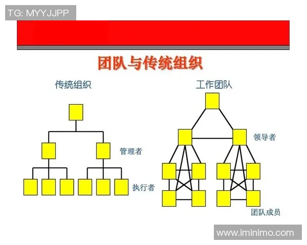 广州乒乓球队意识对比分析揭示团队协作与个人能力的重要性 广州乒乓球队意识对比分析揭示团队协作与个人能力的重要性