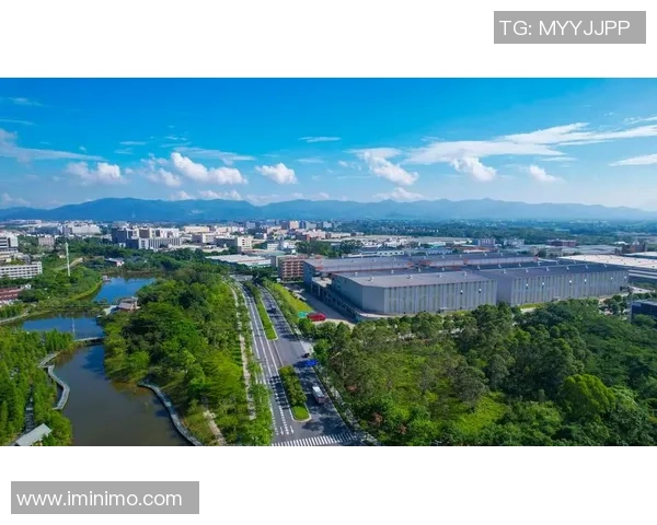 广州羽毛球队在世界锦标赛中的崛起与成长之路全景揭秘