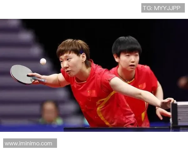 成都与广州排球队对决赛后分析速度表现与战术策略探讨