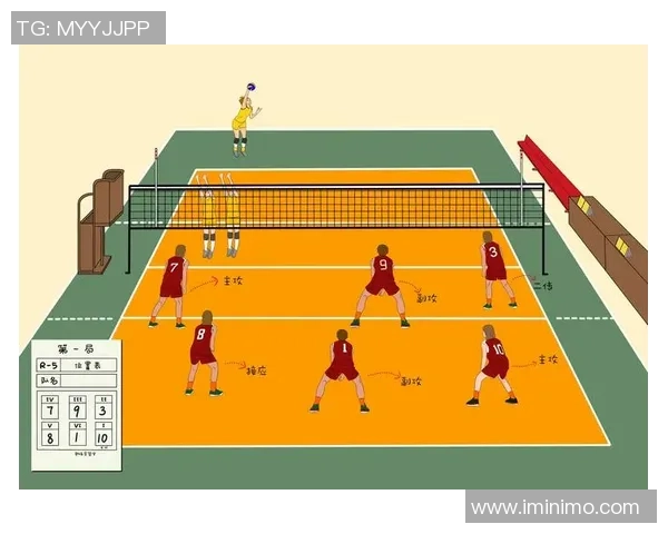 武汉排球队反击战术解析与未来发展展望