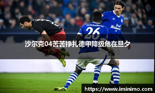 沙尔克04苦苦挣扎德甲降级危在旦夕