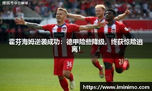 霍芬海姆逆袭成功：德甲险些降级，终获惊险逃离！