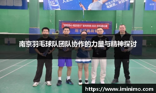 南京羽毛球队团队协作的力量与精神探讨