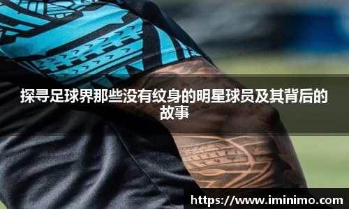 球速体育平台登录入口